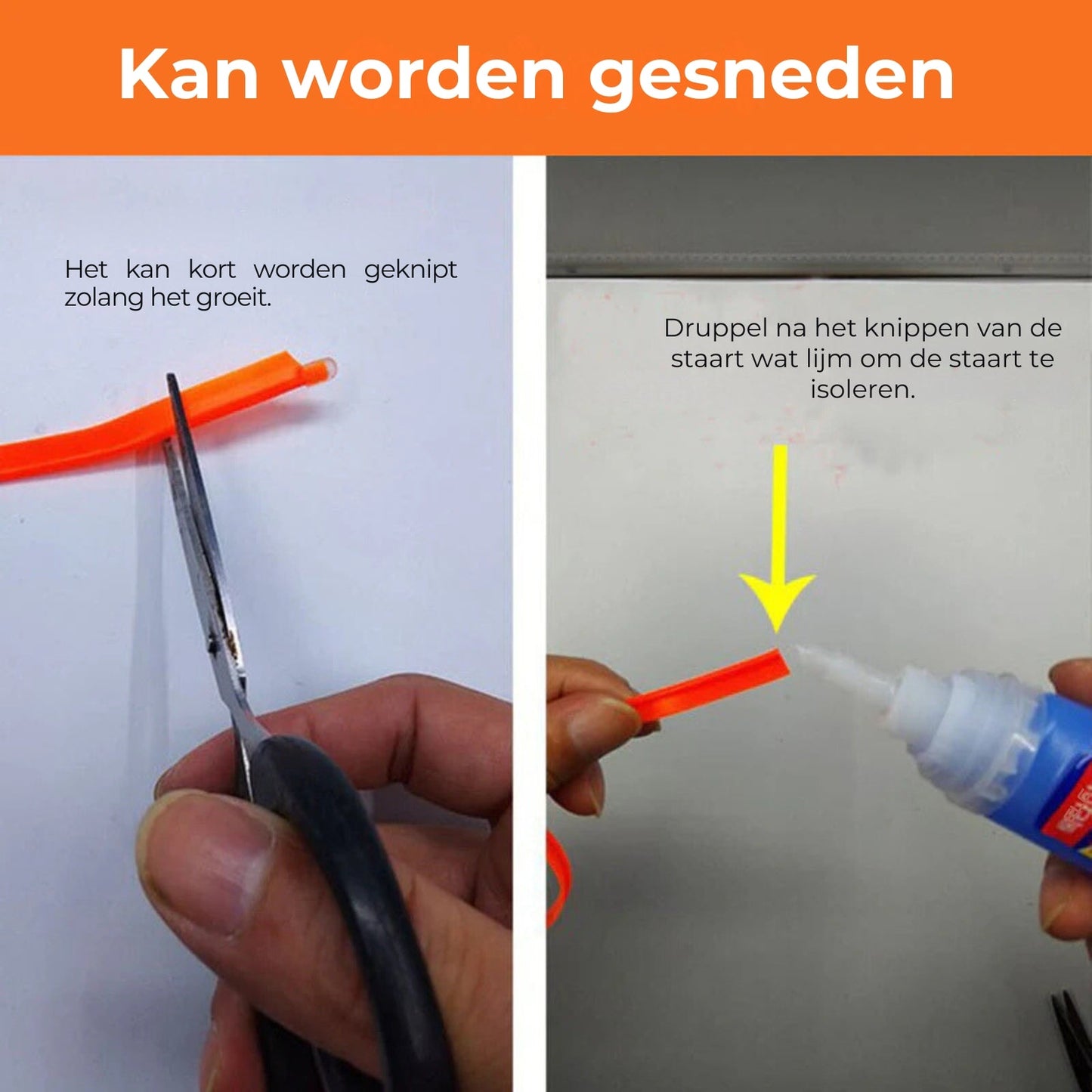 Auto Sfeerverlichting Strips